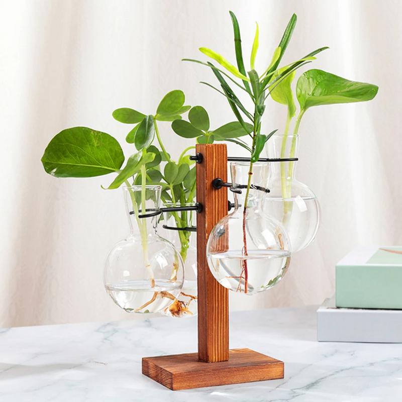 Terrarium avec support Terrari - Propagation Station Vase avis et prix