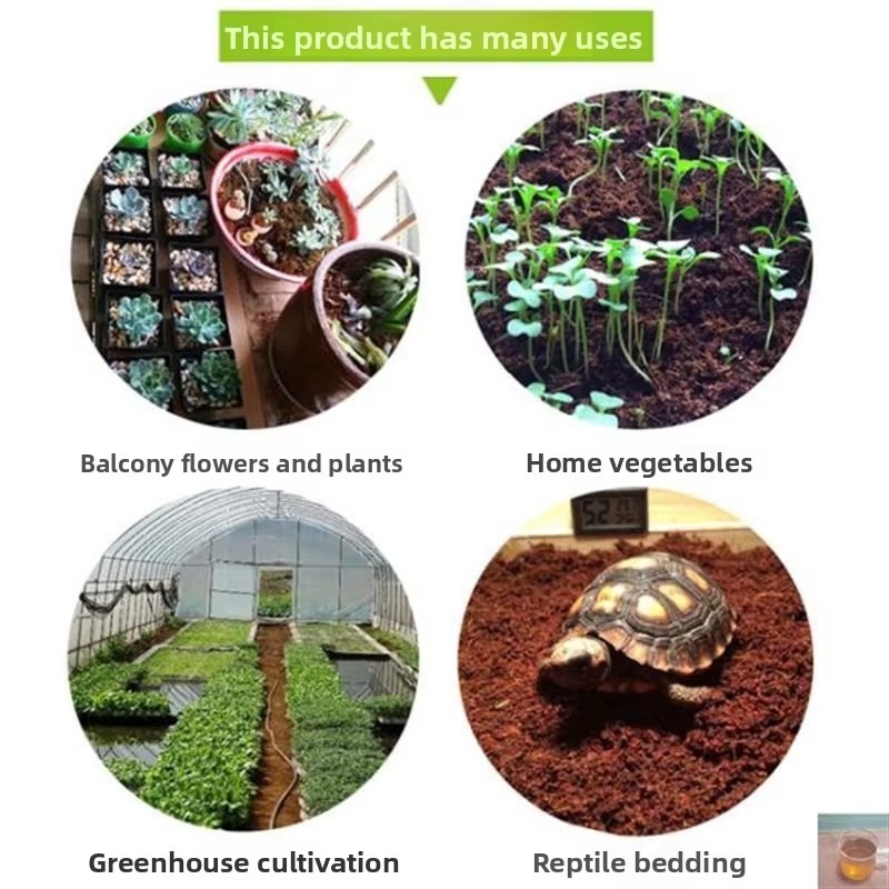 Litière pour reptiles en briqu - Sphagnum Moss Dry avis et prix