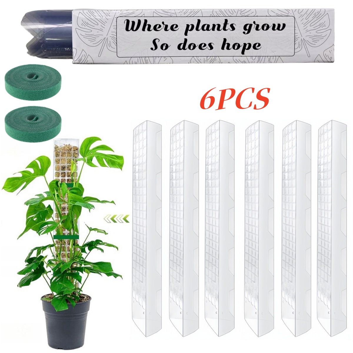 Support de Plantes en Plastiqu - Sphagnum Moss Dry avis et prix