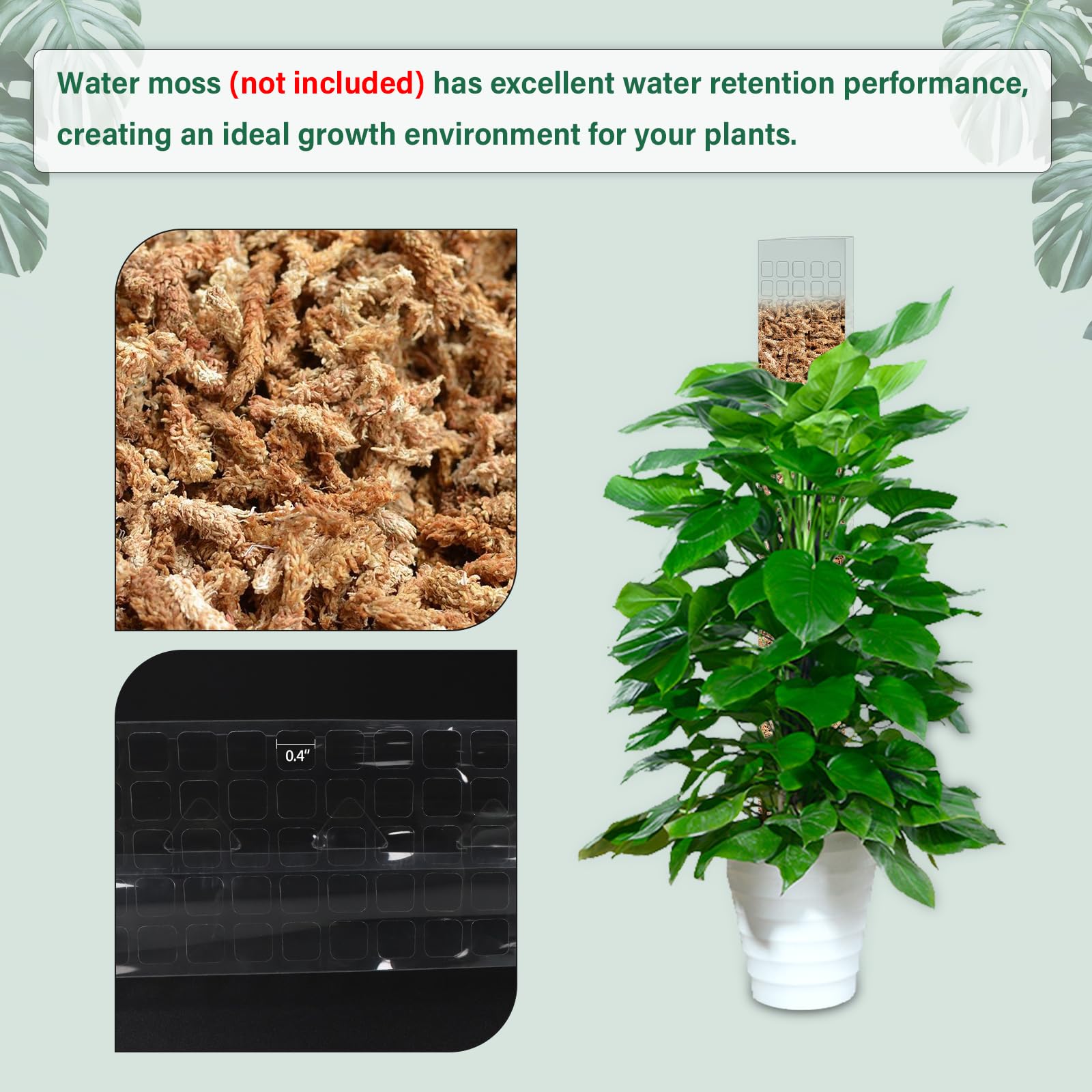 Support de Plantes en Plastiqu - Sphagnum Moss Dry avis et prix