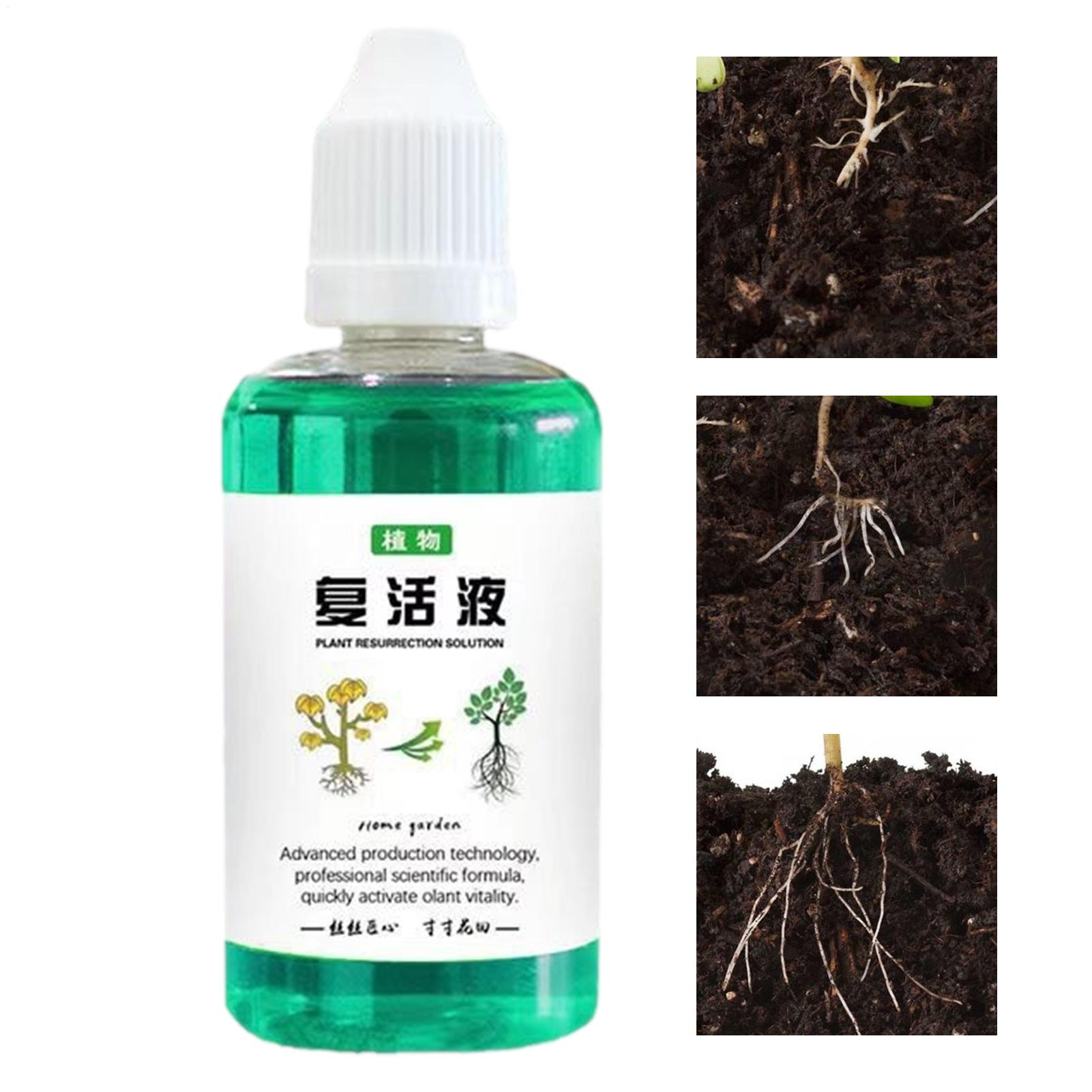 Stimulateur de racines pour pl - Root Stimulator Liquid avis et prix